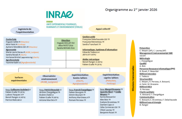 Organigramme 2025-12-15.png