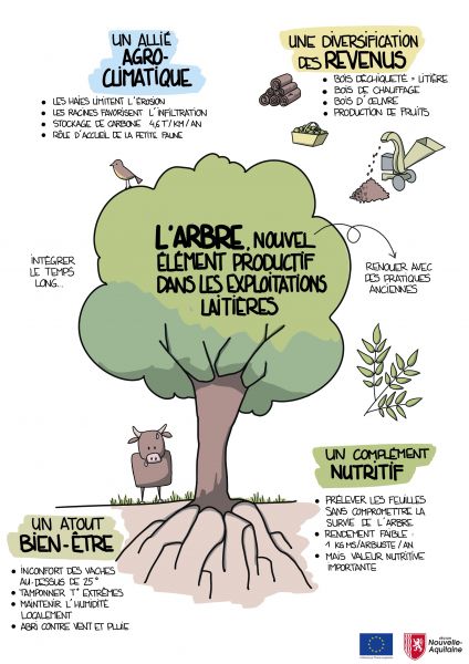 Visuel atelier CapVert